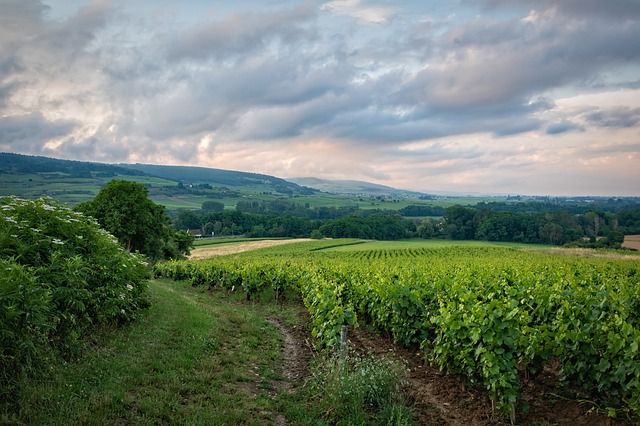 Huissier Bourgogne