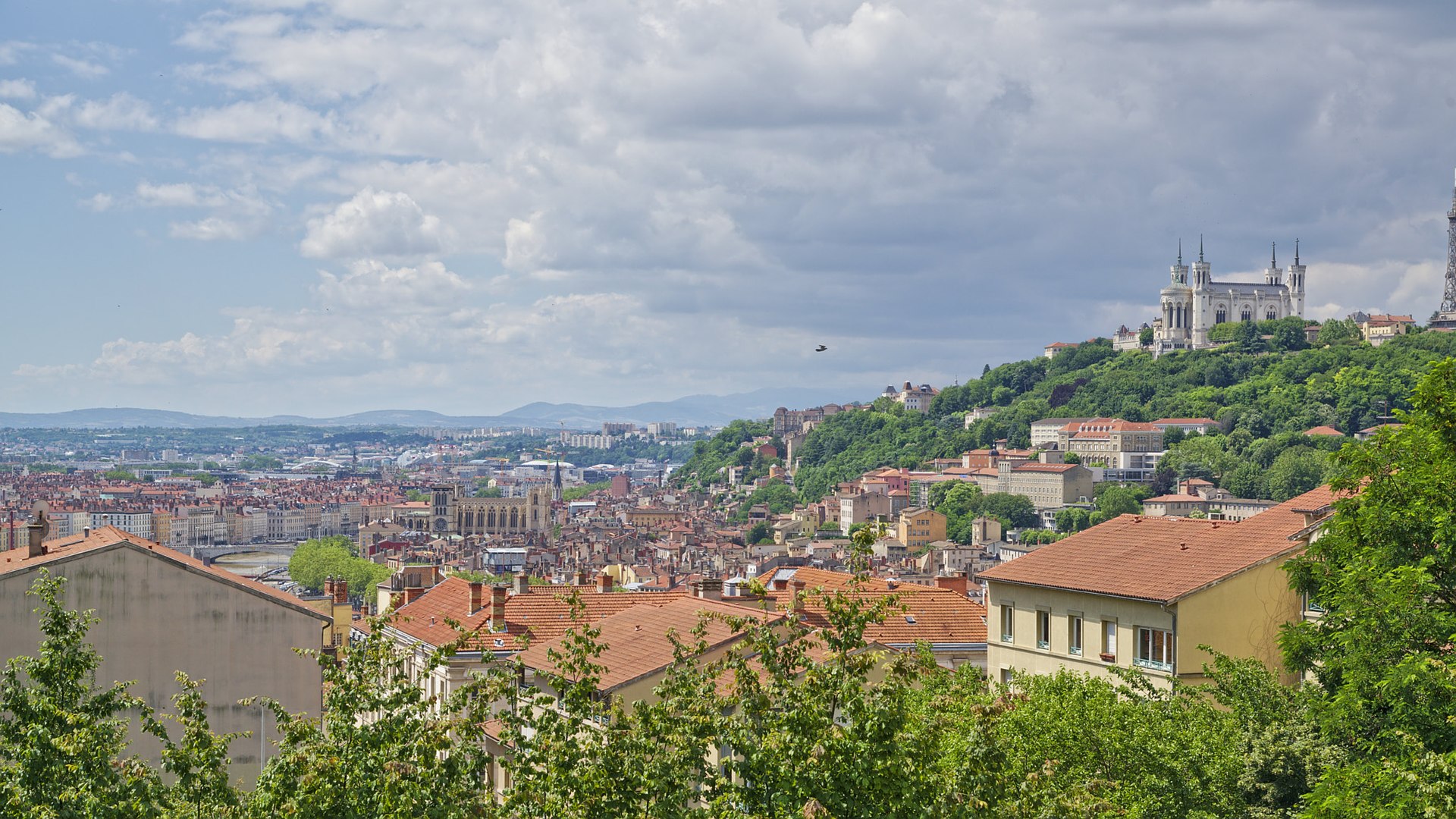 recouvrement amiable Lyon